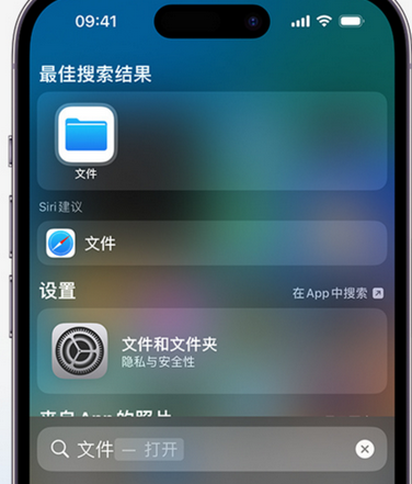 武都apple维修中心分享iPhone文件应用中存储和找到下载文件