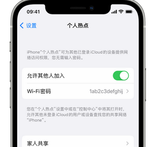 武都apple服务站点分享iPhone上个人热点丢失了怎么办 