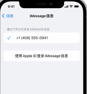 武都apple维修iPhone上无法正常发送iMessage信息 