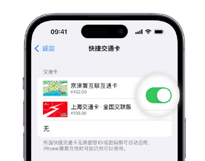 武都apple维修点分享iPhone上更换Apple Pay快捷交通卡手绘卡面 