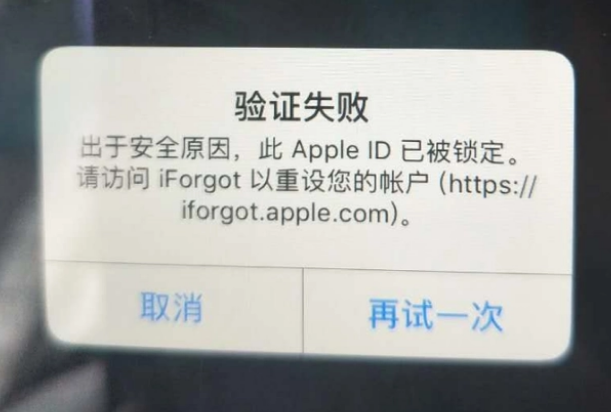 武都iPhone维修分享iPhone上正常登录或使用AppleID怎么办 