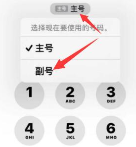 武都苹果14维修店分享iPhone 14 Pro Max使用副卡打电话的方法 