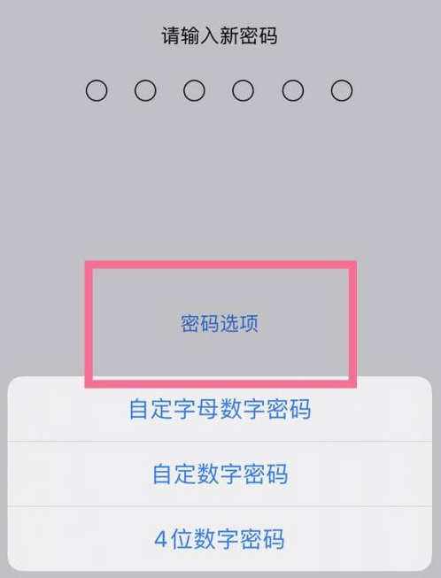 武都苹果14维修分享iPhone 14plus设置密码的方法 