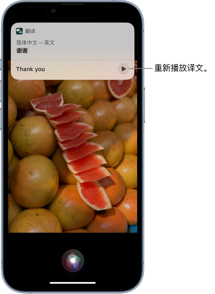 武都苹果14维修分享 iPhone 14 机型中使用 Siri：了解 Siri 能帮你做什么 