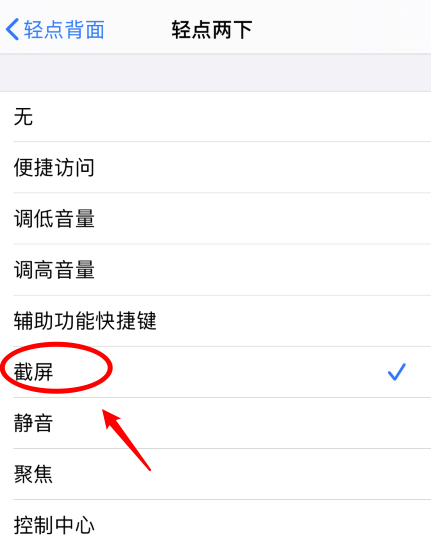 武都苹果手机维修分享iPhone12如何启用双击截屏 