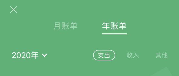 武都苹果手机维修分享如何在 iPhone 上查看支付宝和微信年支出账单 