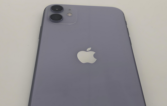 武都苹果11系统维修分享iPhone11手机系统崩溃无法开机如何解决 